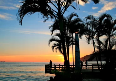 Prefeitura de Ubatuba, nasceu do sol no mar com palmeiras.