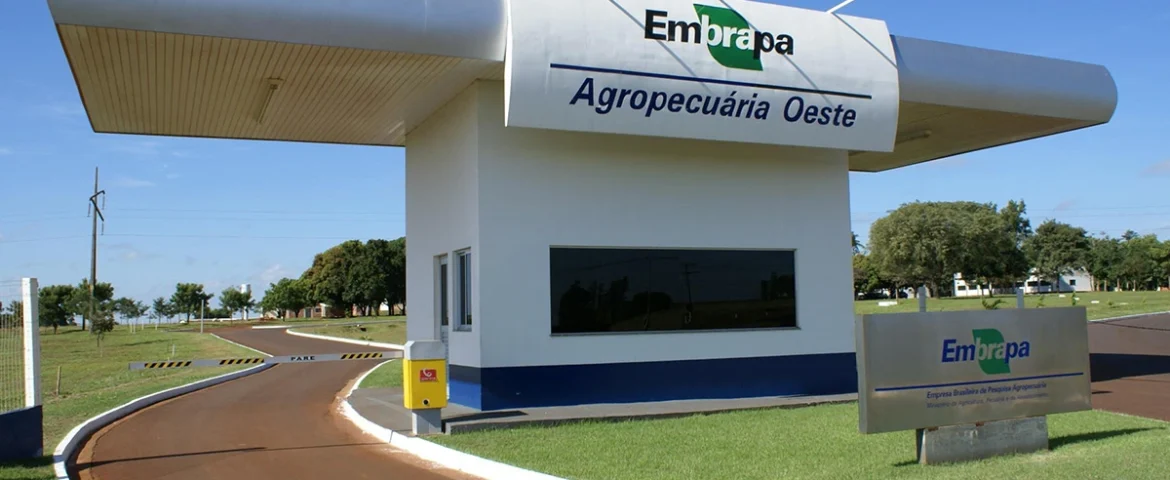 O concurso Embrapa está ofertando 1.027 vagas de todos os níveis!