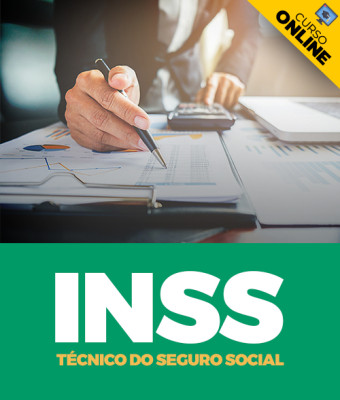  INSS Técnico do Seguro Social - Reta Final - Imagem 1